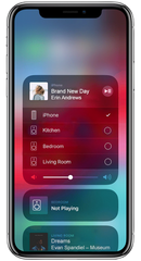 Yamaha MusicCast 20 Hospitality